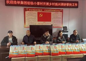 新春慰劳暖民气 村落复兴踏新程 | 洛单团体深切小章村展开村落复兴调研暨慰劳勾当